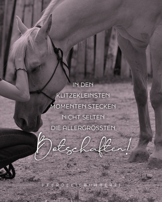 Riesengroße Botschaften in klitzekleinen Momenten