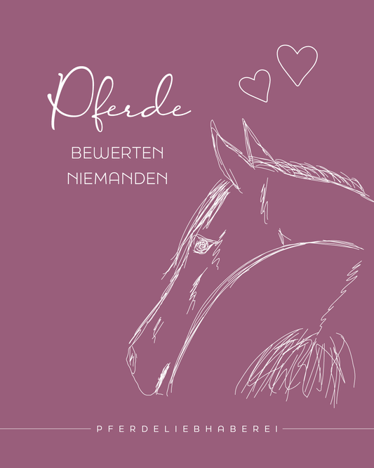 Pferde bewerten niemanden