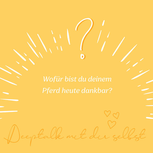 Wofür bist du deinem Pferd heute dankbar?
