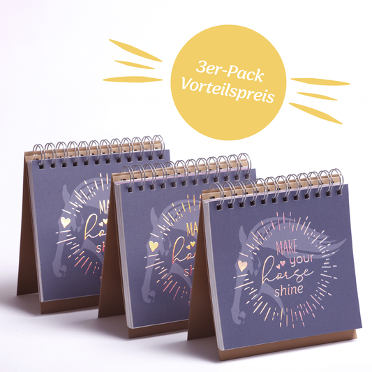 Aufstellbuch im 3er-Sparbundle